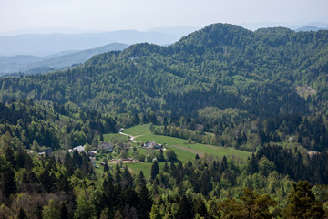 Obraz premium beautiful spring mountain green forest landscape