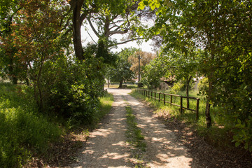 Caminho de terra em Figueiró dos Vinhos