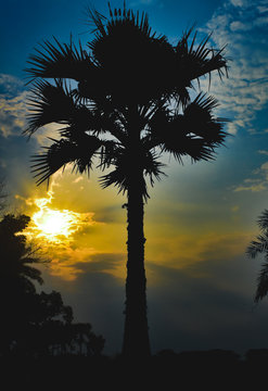 Beautiful scene of sunset