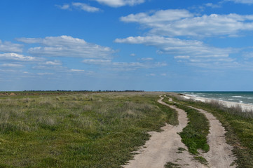 Fototapeta na wymiar Black sea beach and dunes. Hot summer day. Wild places of our planet. Ukraine.