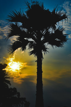 Beautiful scene of sunset
