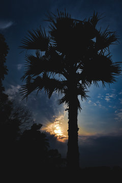 Beautiful scene of sunset
