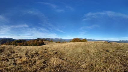 autumn mountains landscape on sunny day with colorfully forest meadow and trees