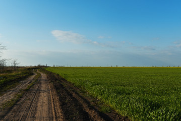 Fototapeta na wymiar Green field, road and blue sky.