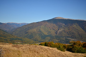 Naklejka premium autumn mountains landscape on sunny day with colorfully forest meadow and trees