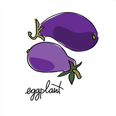 Eggplant, aubergine. Colorful vector illustration with hand lettering. Perfect for coloring book, teaching aid, illustrated summary, price label, other design projects