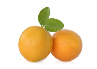 Orange fruit isolated on white background. With clipping path. 