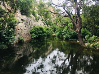 A pond in the dark forest in the mountains.