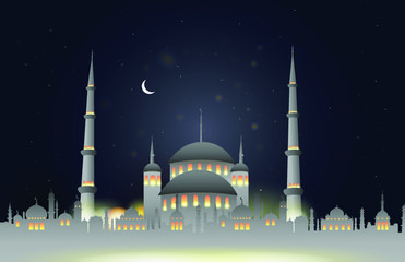 blue mosque in istanbul