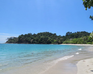 Fototapeta na wymiar tropical beach with palm trees in costa rica