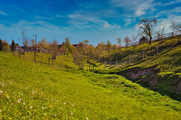 spring in the mountains