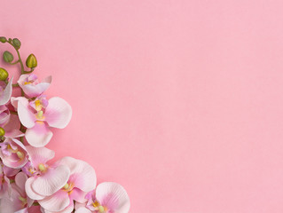 Naklejka na ściany i meble Pink orchids on one side on pink background. Pink flower background