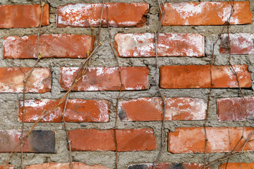 Brick wall fragment