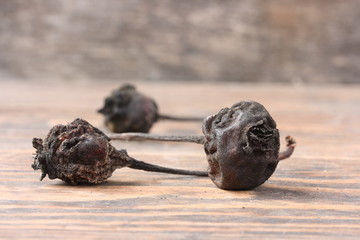 Dried dark wild pear fruit