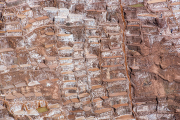 Admiring the beautiful architecture of Lima