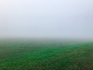 foggy field in spring