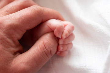 Closeup of a baby's hand holding father's finger against white background. Close-up of beautiful sleeping baby girl. Newborn baby girl, asleep on a blanket. Selective focus. Closeup photo.