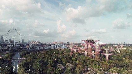 SINGAPORE - JANUARY 3, 2020: Singapore from the air. Gardens by the bay park