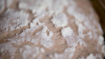 Freshly prepared bread, close up