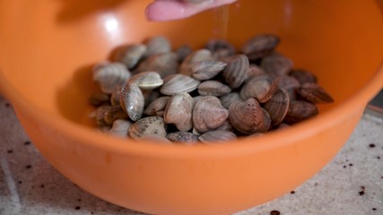 Woman preparing fresh clams in a orange tray