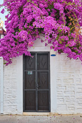 Bougainvillea flowers around the house with a balcony and tsvetami.