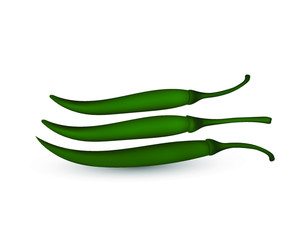 Vector Green Hot Chilis Pepper Isolated on White Background