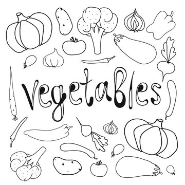 Root and fruit vegetables. Black hand-drawn doodle style silhouette of aubergine, pumpkin, sweet pepper, okra, tomato, currant tomatoes, cucumber, carrot, radish, onion, garlic, turnip, potatoes.