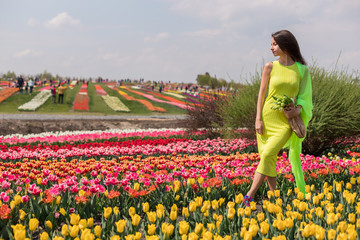Beautiful woman with long hair in a yellow dress is walking along the field of blooming tulips in...