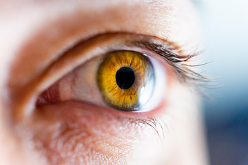 Beautiful green eyes. Close-up of green human eye.