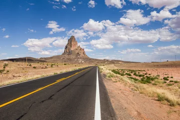 Deurstickers Beautiful view along the historic Route 66 in Arizona on a beautiful hot sunny day with blue sky in summer © damianobuffo