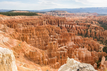 Suggestive viewpoint of Bryce Canyon on a beautiful sunny day, Utah, USA