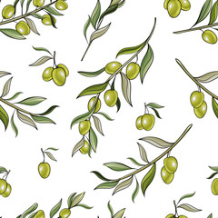 Vector seamless pattern with green olive tree branches on white background. Hand drawn. For the design natural organic cosmetics, wrapping paper, soap, olive oil. Stock illustration.