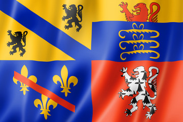 Ain County flag, France