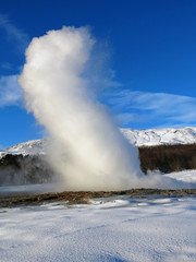 geyser in Iceland
