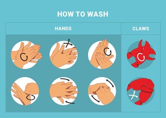 How to wash hands and claws instruction