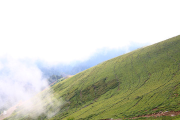 Fototapeta premium mountain top landscape. mountains in the clouds