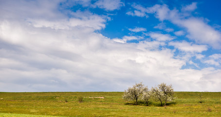 Fototapeta na wymiar landscape, sky, field, grass, nature, meadow, clouds, blue, green, summer, cloud, rural, tree, horizon, spring, trees, farm, agriculture, land, countryside, forest, pasture, outdoors, view, hill