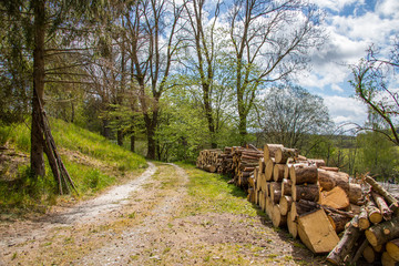 Landschaft im Frankenwald