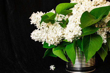 Bouquet of white lilac in a metal vase