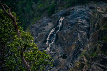 naturaleza