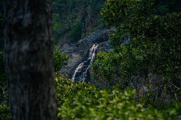 naturaleza