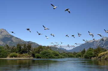 abultadas en la patagonia