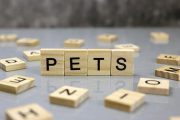 Word Pets made of wooden letters