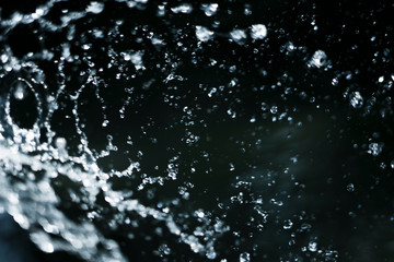 splash and drops of water on dark blue background
