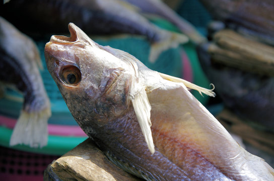 Getrockneter Fisch