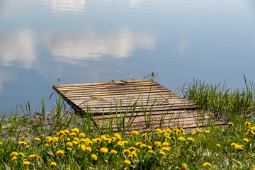 Wiosenne Podlasie. Wiosna w Dolinie Narwi. Podlaskie wierzby, Polska © podlaski49