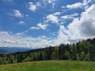 Fototapeta na wymiar Säntis im Frühling mit Cumulus Wolken und grüner Frühlingswiese