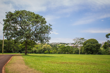 Fototapeta na wymiar Nature in a big city - Parque das Nações Indígenas - Campo Grande - Mato Grosso do Sul - Brazil