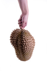 Hand carrying a large fresh durian
