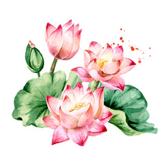 Bouquet of pink Lotus flowers with green leaves. Hand drawn botanical watercolor illustration isolated on white background